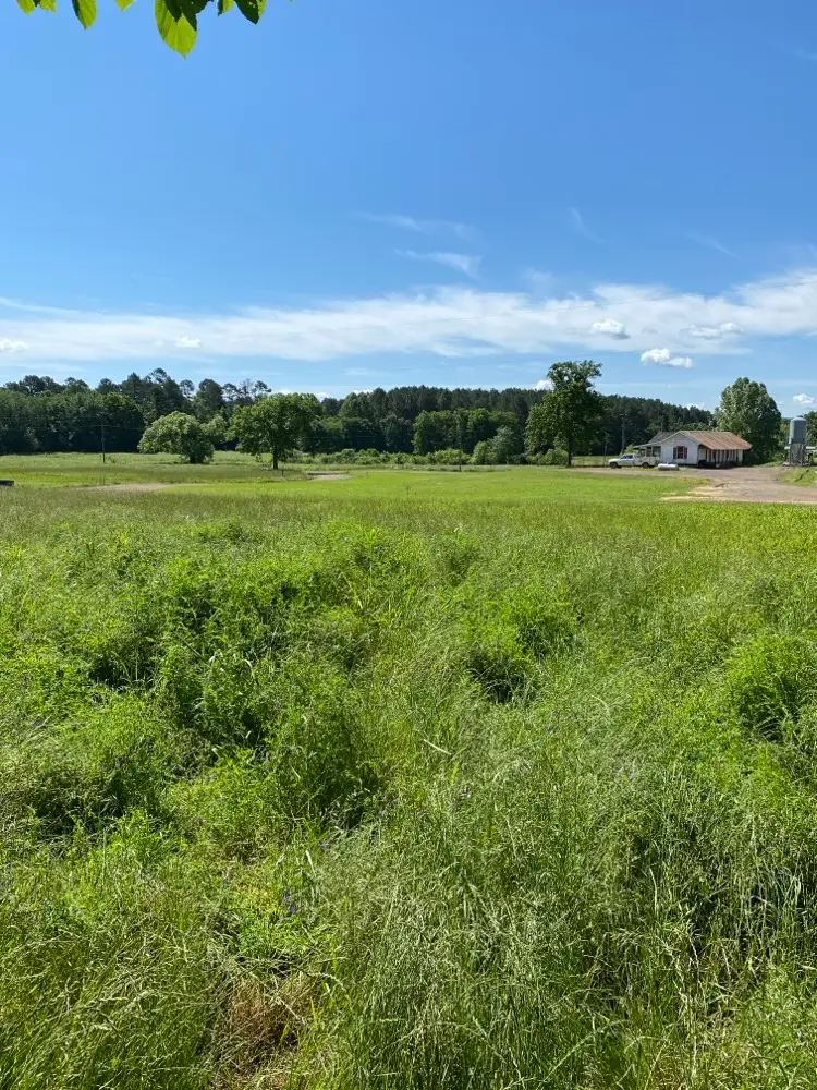 2 Acres on Melton Road, Briggsville, AR 72828 - #2