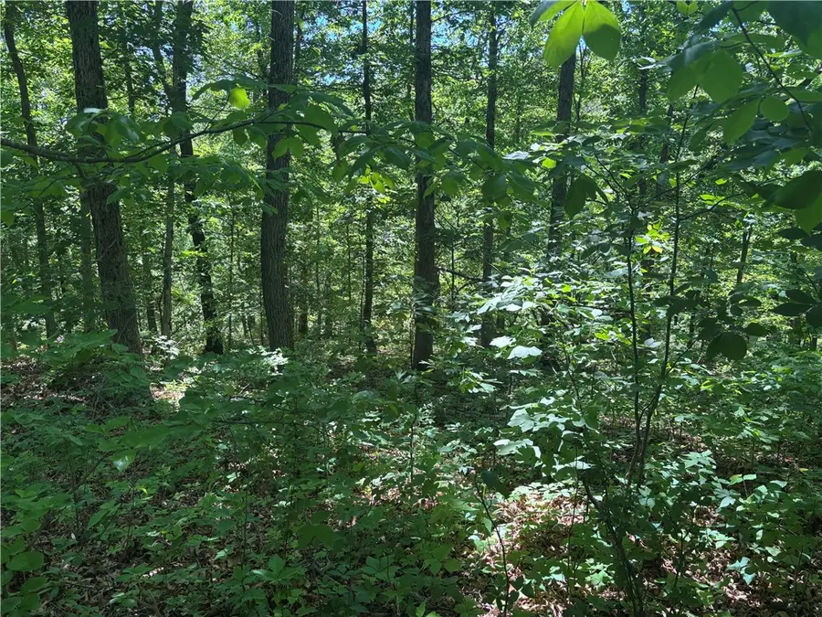 Ulverston Drive, Bella Vista, AR 72714 - #2