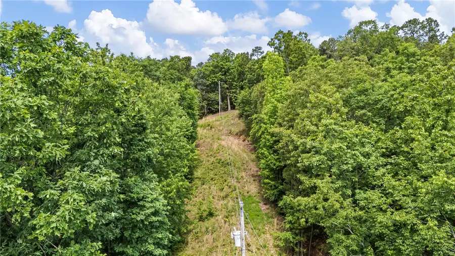 41 Quicker Still Cove, Dover, AR 72837 - #3