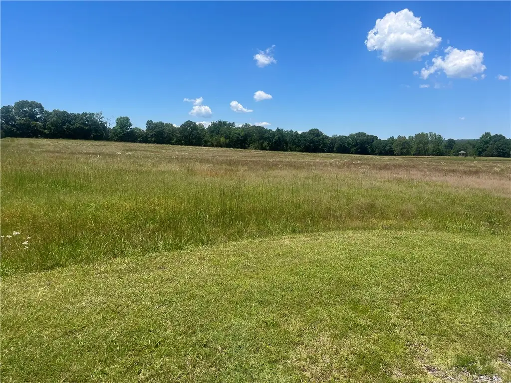 8 acres Sr 27, Dover, AR 72837 - #1