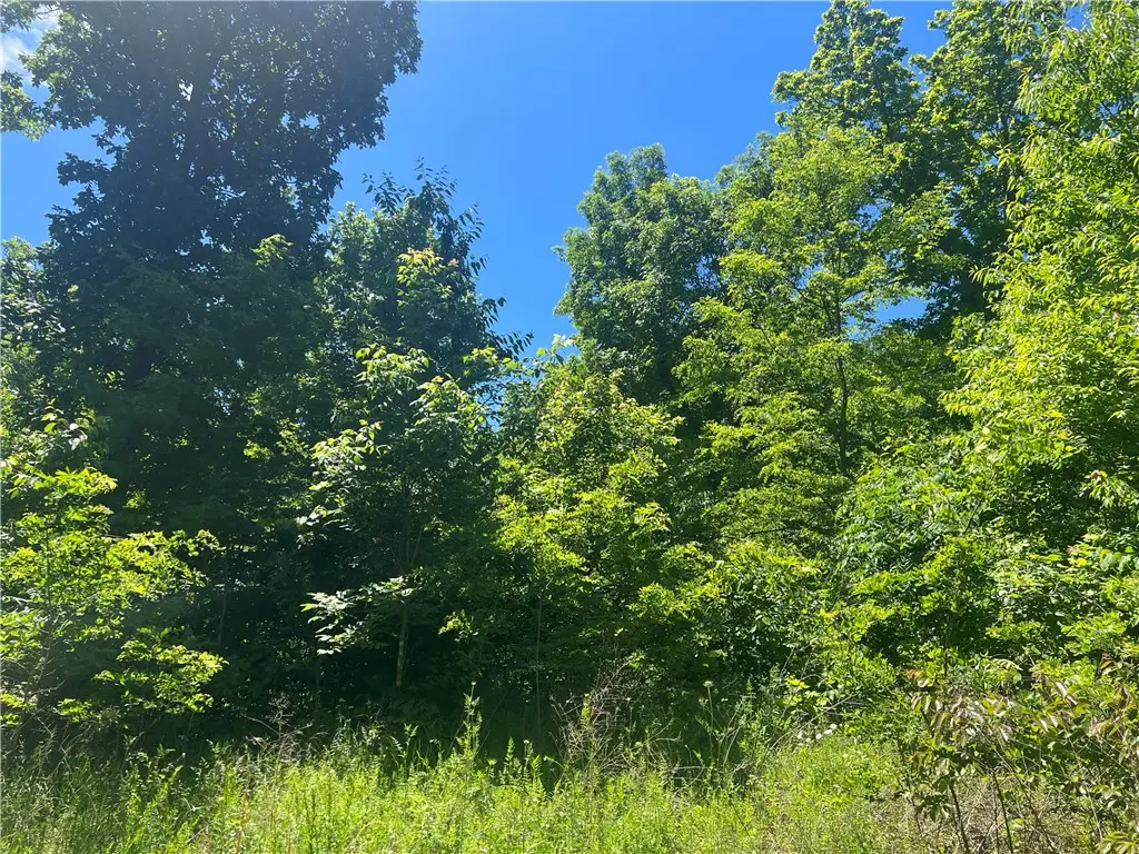 Terrapin Road, Harrison, AR 72601 - #1