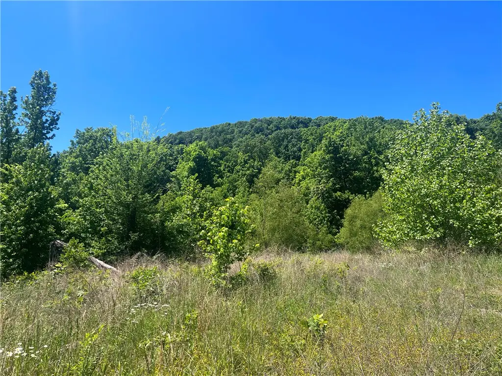 Terrapin Road, Harrison, AR 72601 - #1