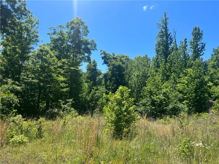 Terrapin Road, Harrison, AR 72601 - #2
