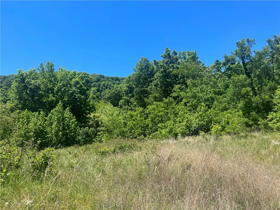 Terrapin Road, Harrison, AR 72601 - #3