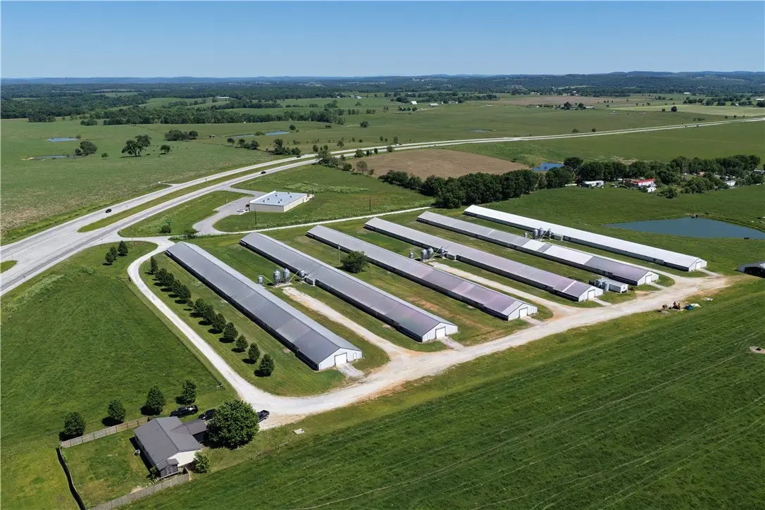 772 Madison 8235, Hindsville, AR 72738 - #1