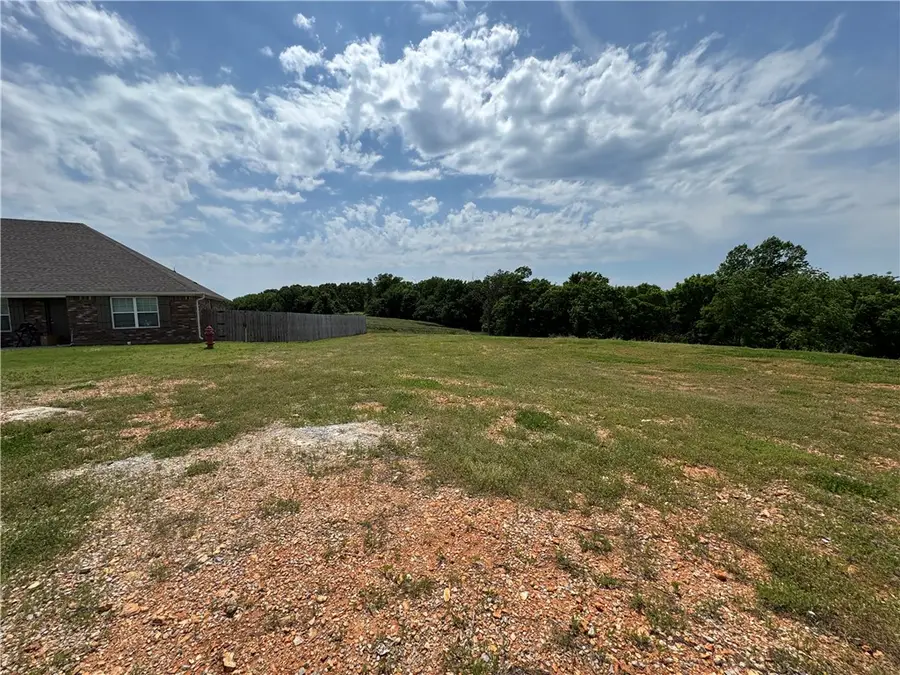 2100 Brown Bear Lane, Gentry, AR 72734 - #2