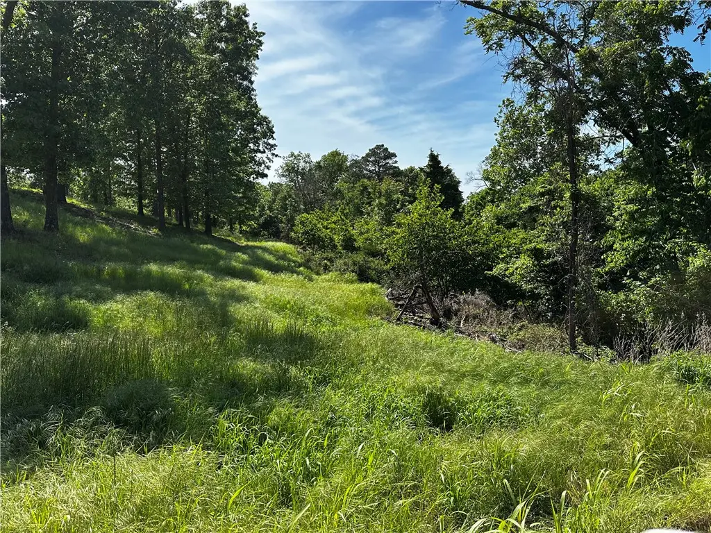 Lot 86 Tanglewood Resort 2, Rogers, AR 72756 - #1
