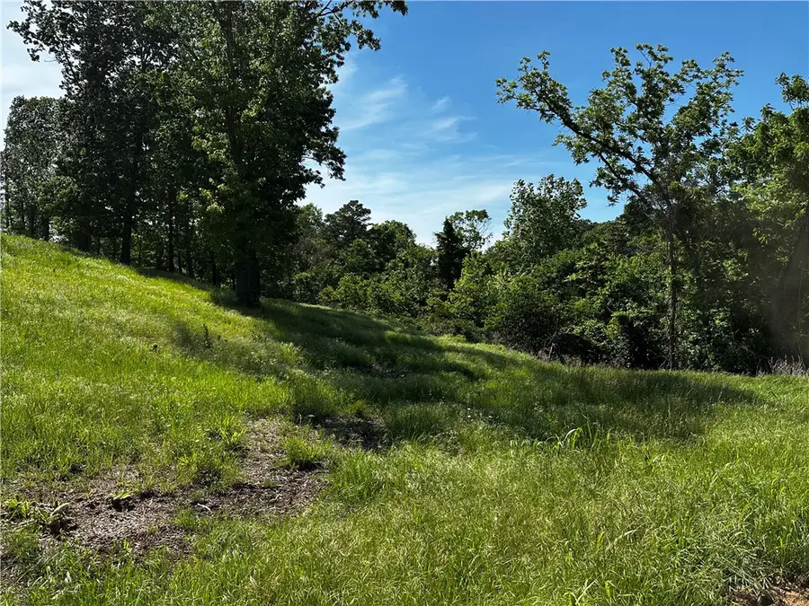 Lot 86 Tanglewood Resort 2, Rogers, AR 72756 - #3