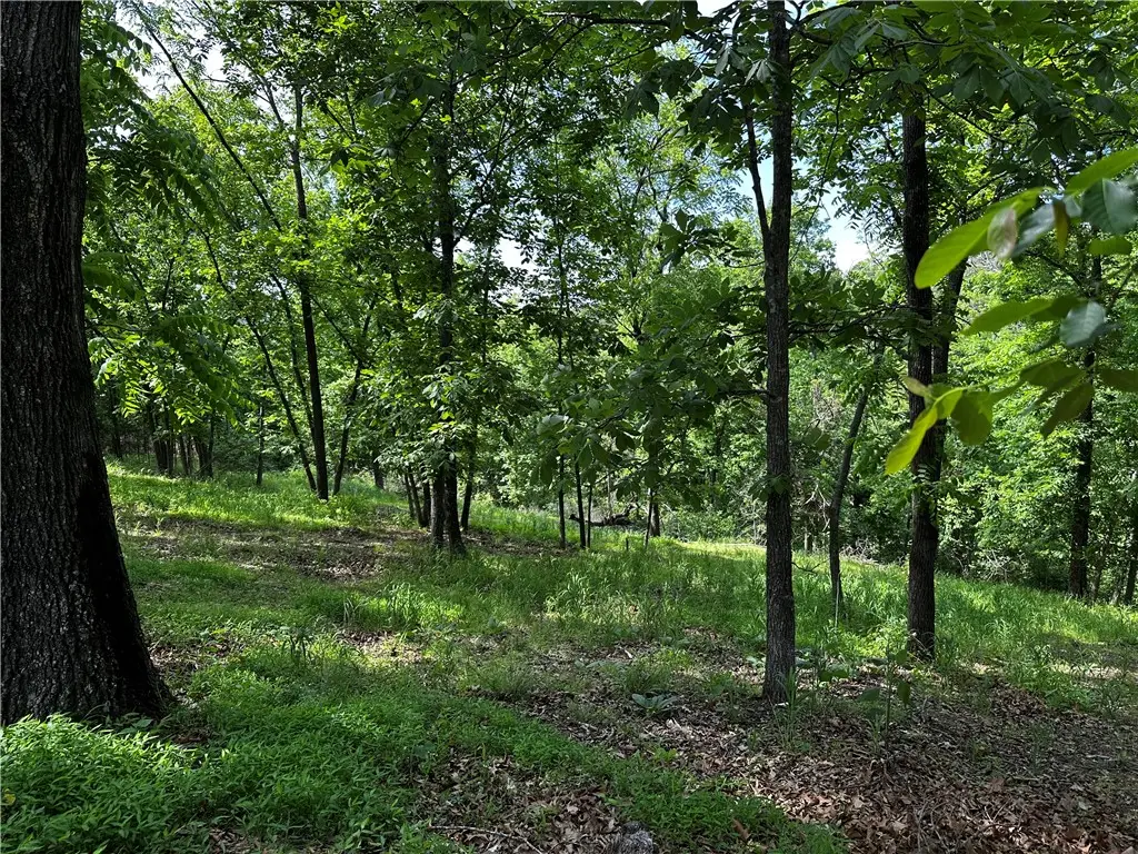 Lot 100 E Robin Road, Rogers, AR 72756 - #1