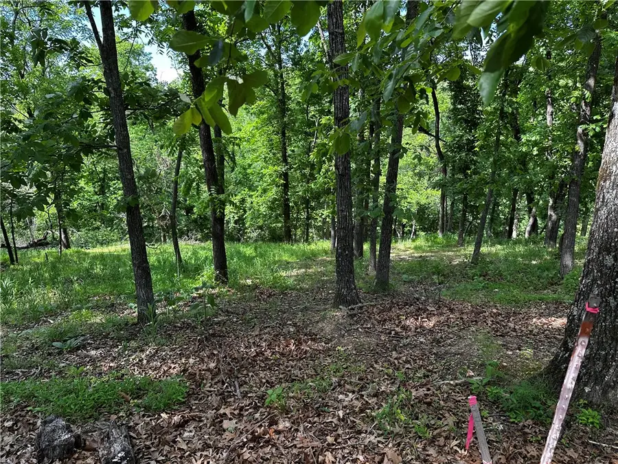 Lot 100 E Robin Road, Rogers, AR 72756 - #2