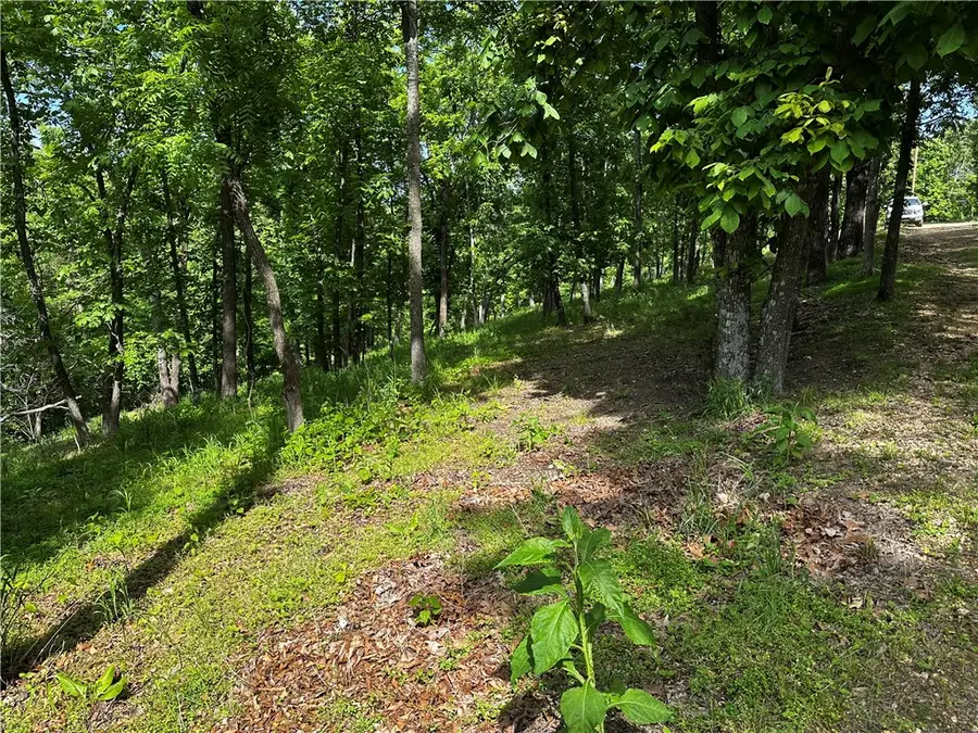 Lot 100 E Robin Road, Rogers, AR 72756 - #3