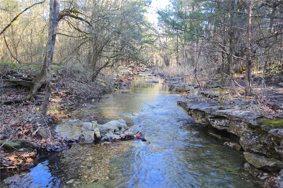 521 Cr-2281, Eureka Springs, AR 72631 - #3