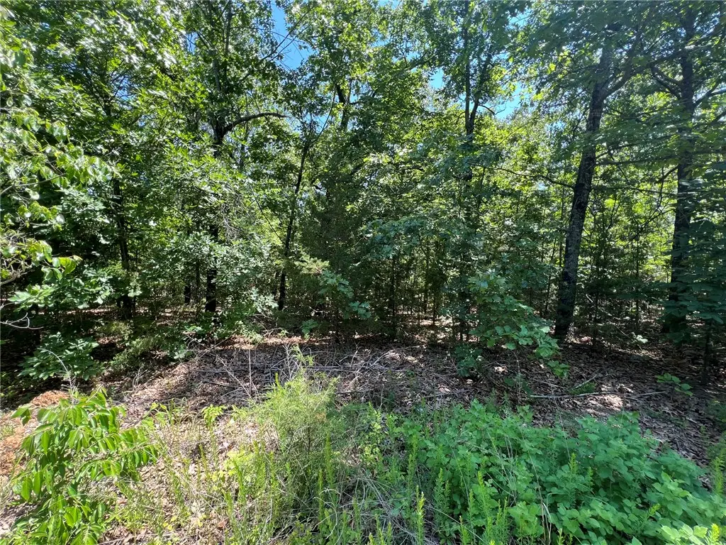 TBD Saddle View Drive, Yellville, AR 72687 - #1