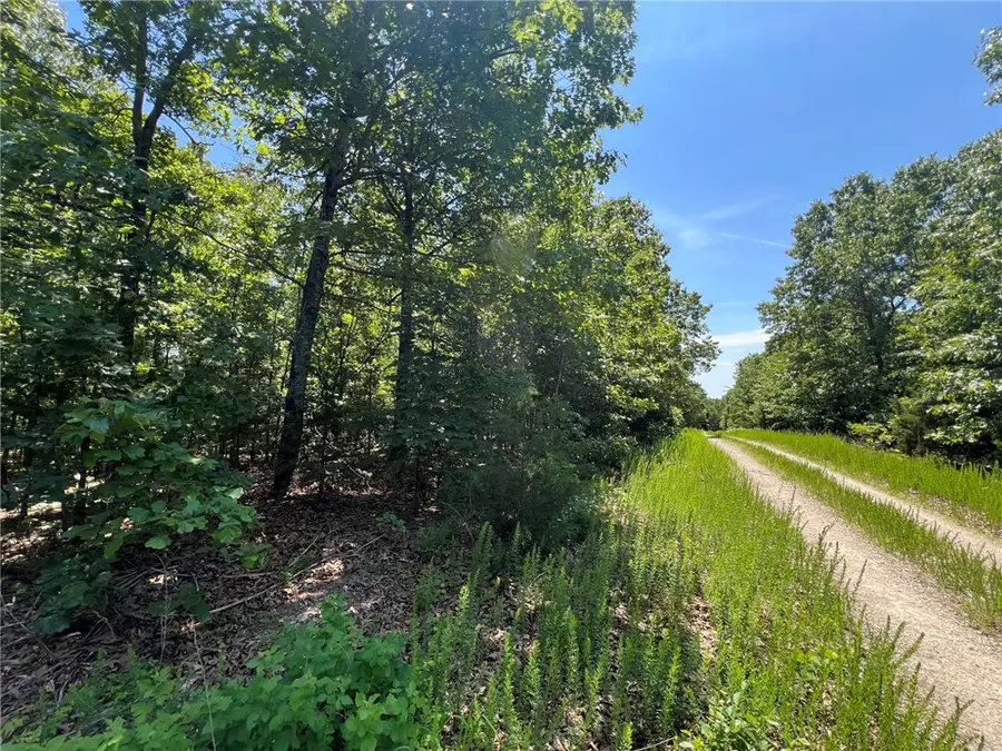 TBD Saddle View Drive, Yellville, AR 72687 - #2
