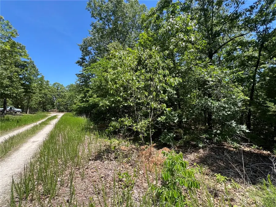 TBD Saddle View Drive, Yellville, AR 72687 - #3