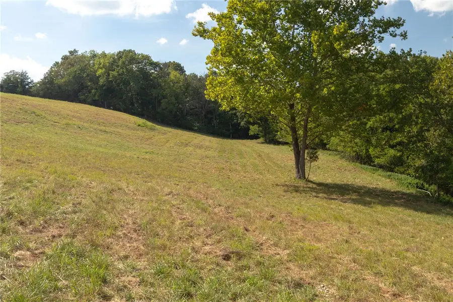 000 Downwind Drive, Omaha, AR 72662 - #3