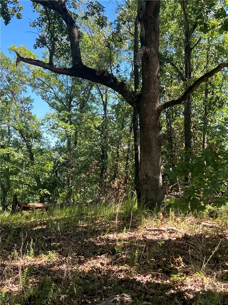 Mc 7001 Road, Flippin, AR 72634 - #2