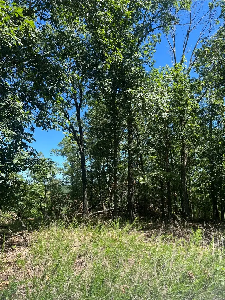 Mc 7001 Road, Flippin, AR 72634 - #3