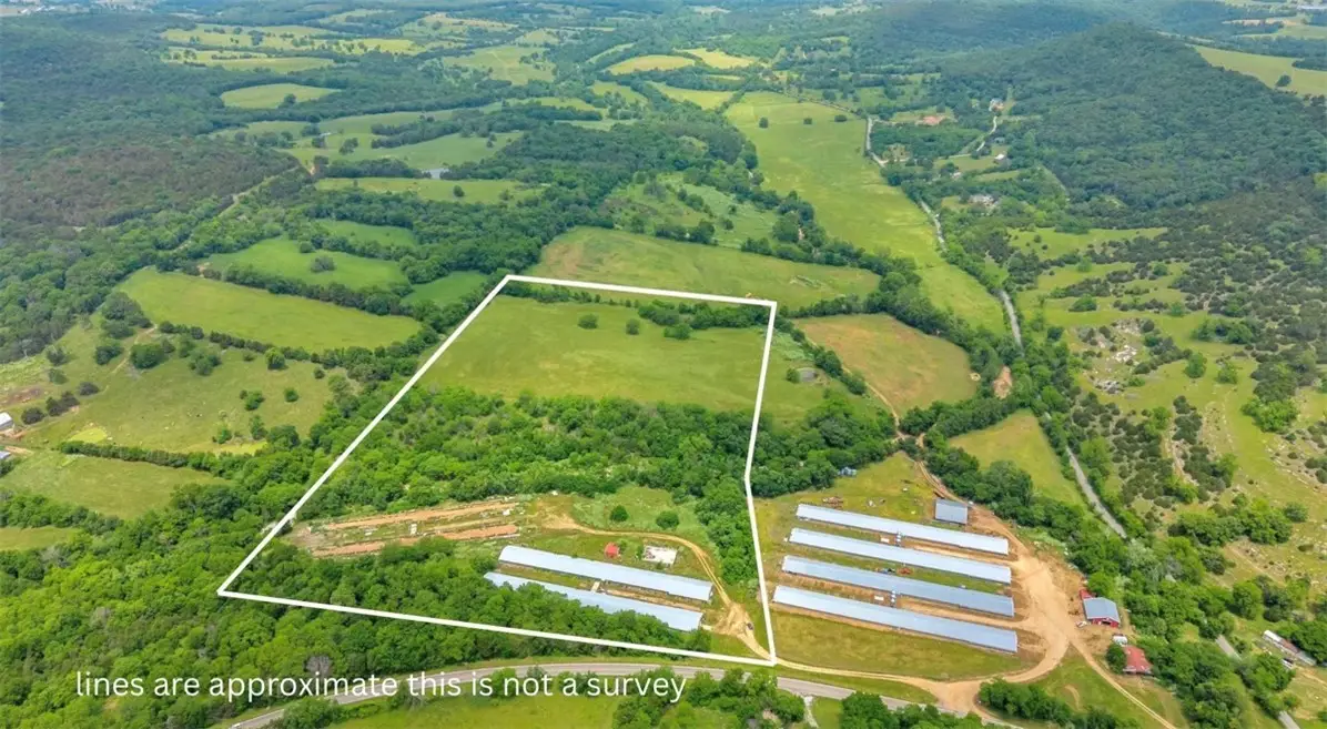 6112 Highway 21, Berryville, AR 72616 - #1