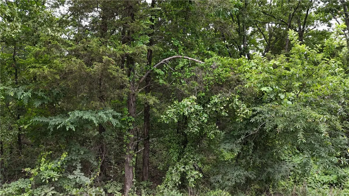 0 Pleasant Grove Loop, Cleveland, AR 72030 - #1