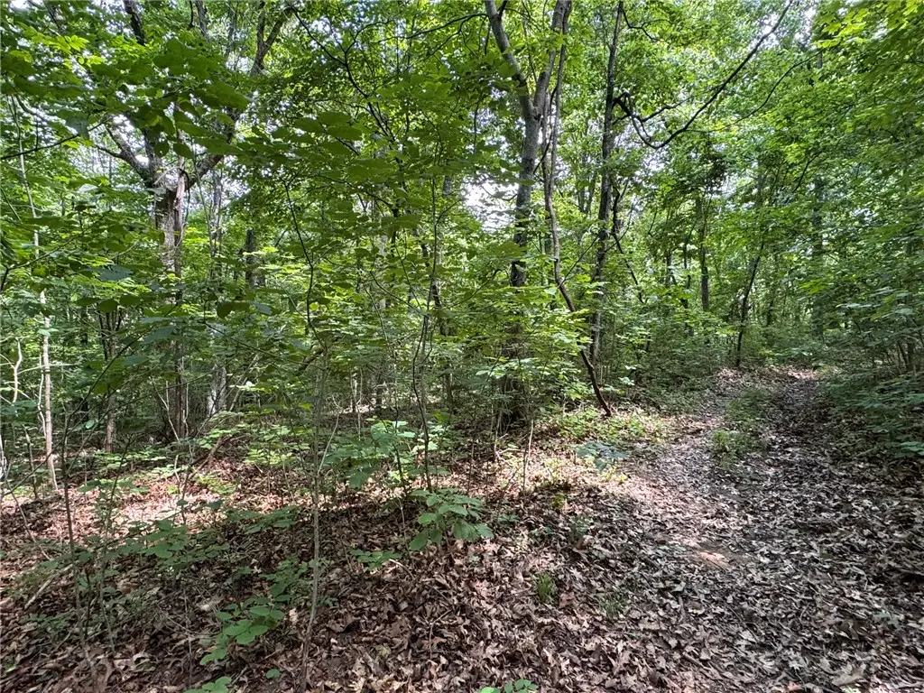 TBD Nc 1000, Ponca, AR 72670 - #1