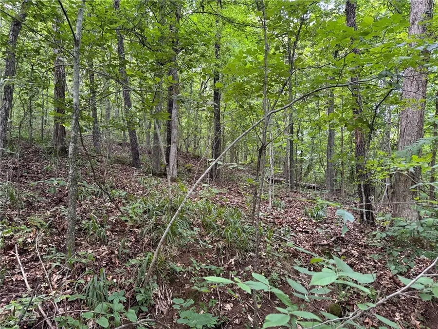TBD Nc 1000, Ponca, AR 72670 - #2