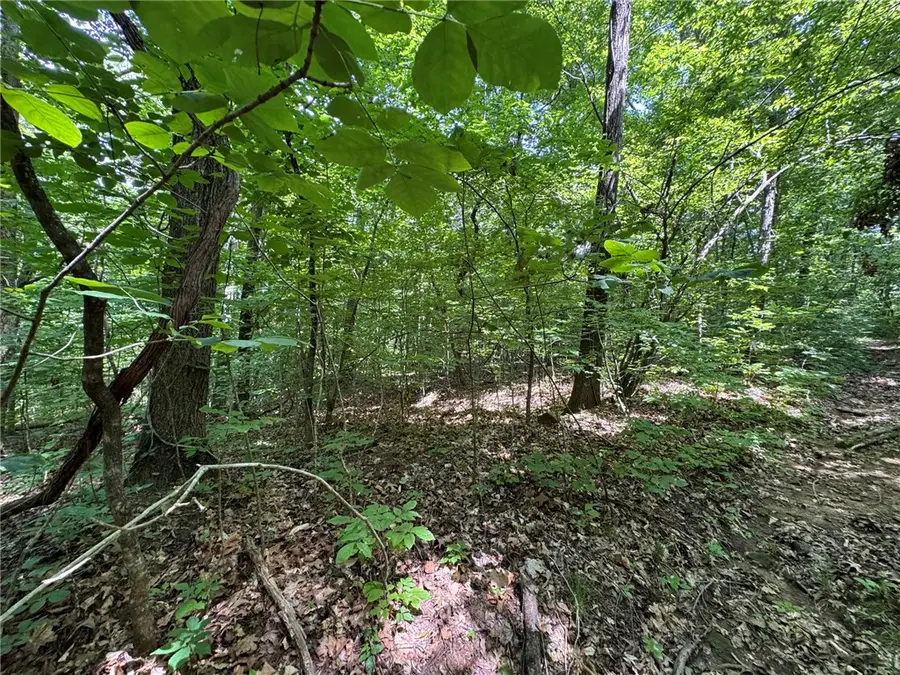 TBD Nc 1000, Ponca, AR 72670 - #3