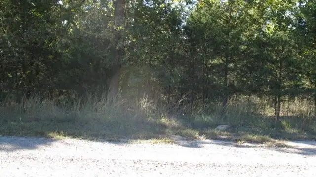 6,7,8 Cr 1719, London, AR 72847 - #3
