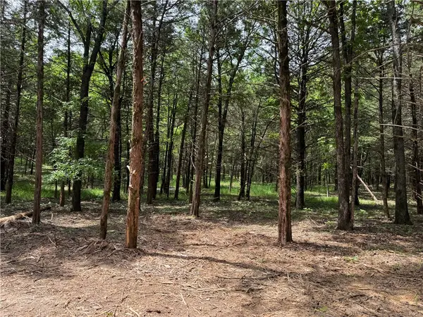 Tract 3a & 2a Downing Road, Elkins, AR 72727