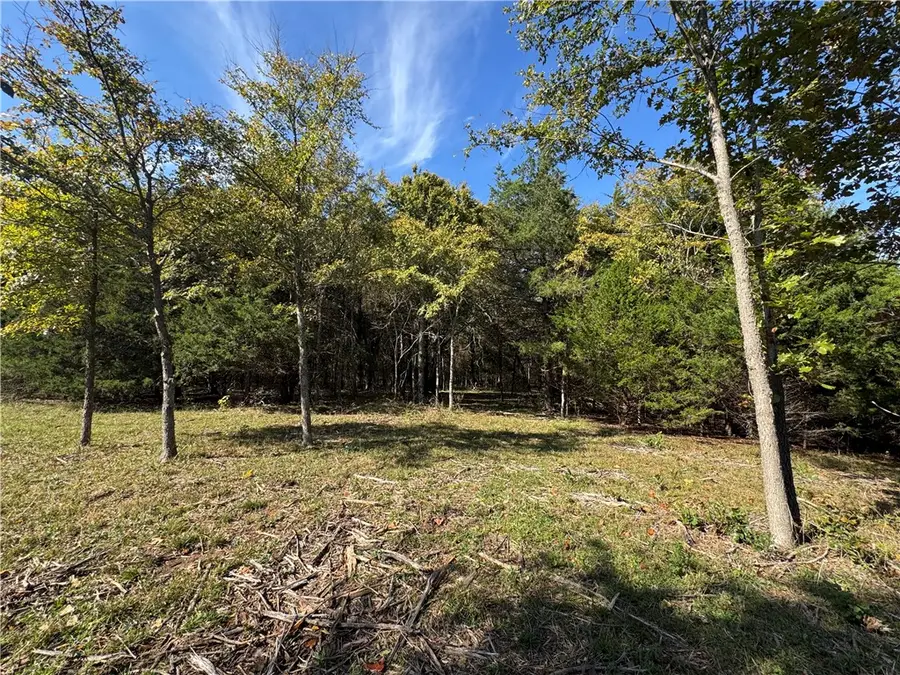 Tract 3a & 2a Downing Road, Elkins, AR 72727 - #2