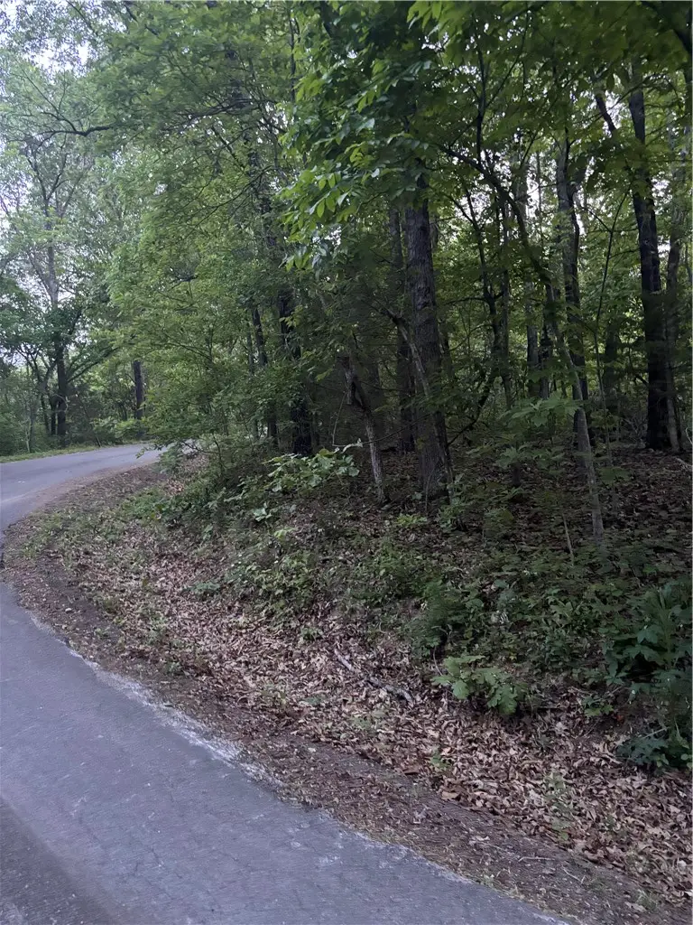 Drummore Drive, Bella Vista, AR 72715 - #1