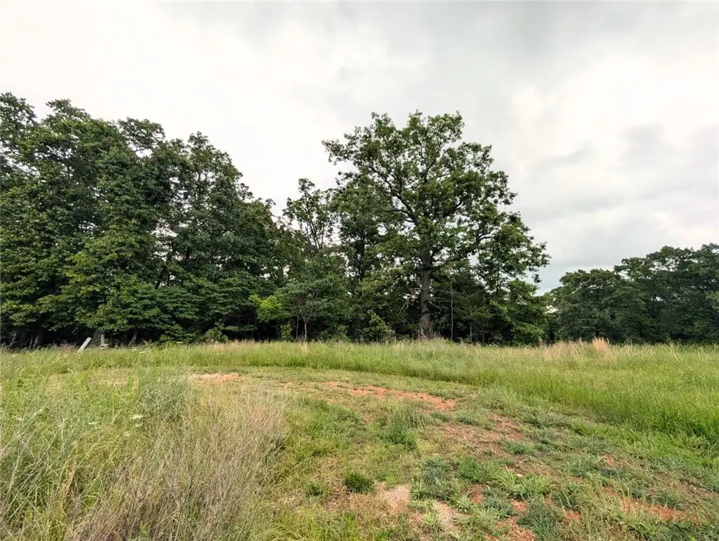 TBD Peck Road, Pea Ridge, AR 72751 - #1