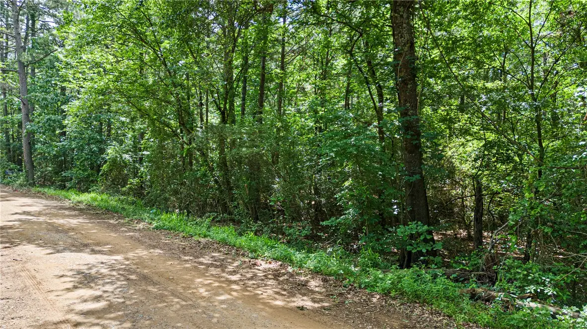 TBD E Cedar Piney Road, Havana, AR 72842 - #1