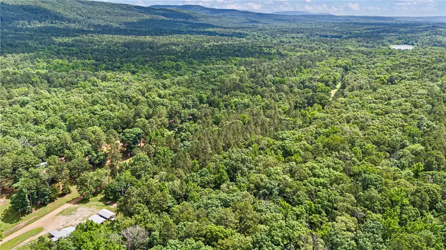 TBD E Cedar Piney Road, Havana, AR 72842 - #3