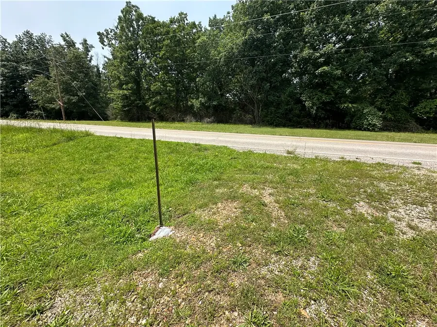 320 Hazelwood, Diamond City, AR 72630 - #2