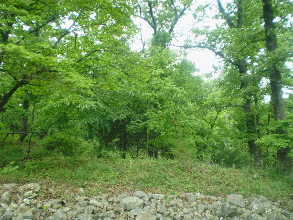 TBD Prairie Creek North Road, Rogers, AR 72756 - #1