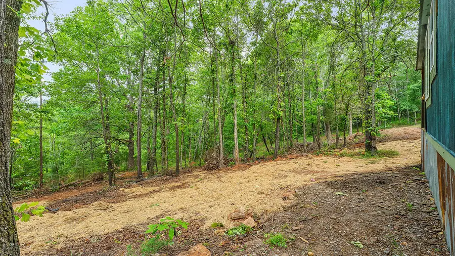 225 Hill Street, Winslow, AR 72759 - #3