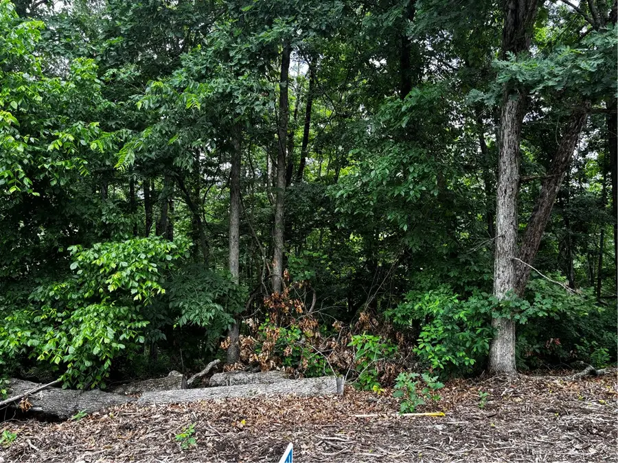 Lot 10 Kensington Lane, Bella Vista, AR 72715 - #3