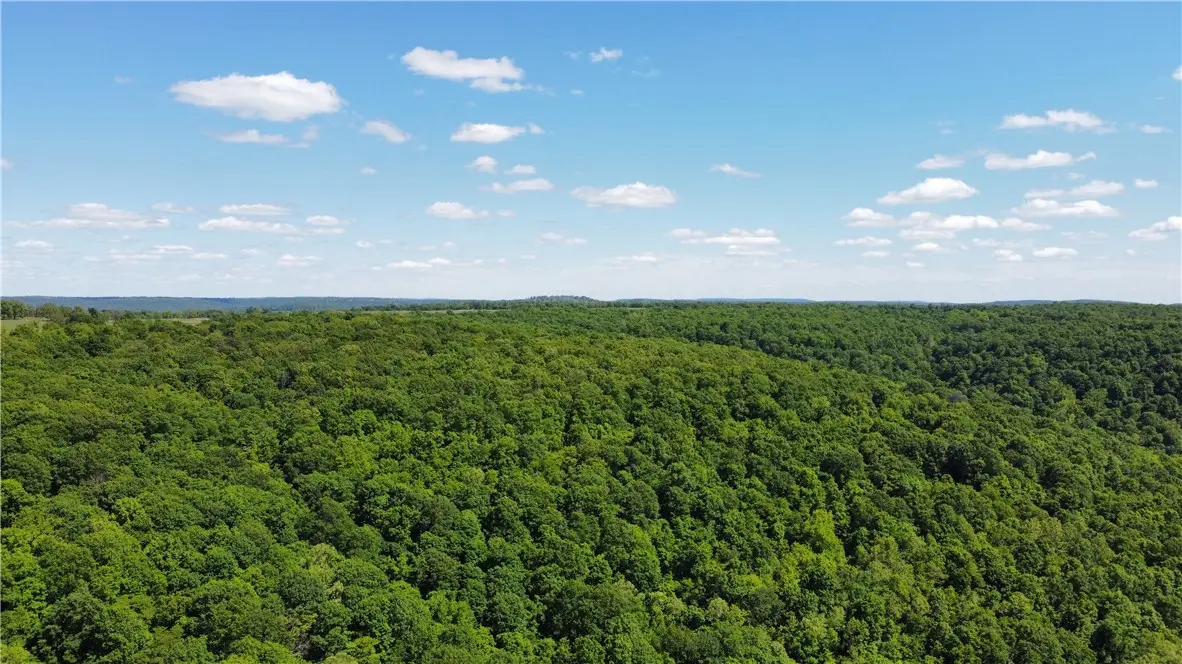 17659 S Skylight Mountain Road, Canehill, AR 72717 - #1