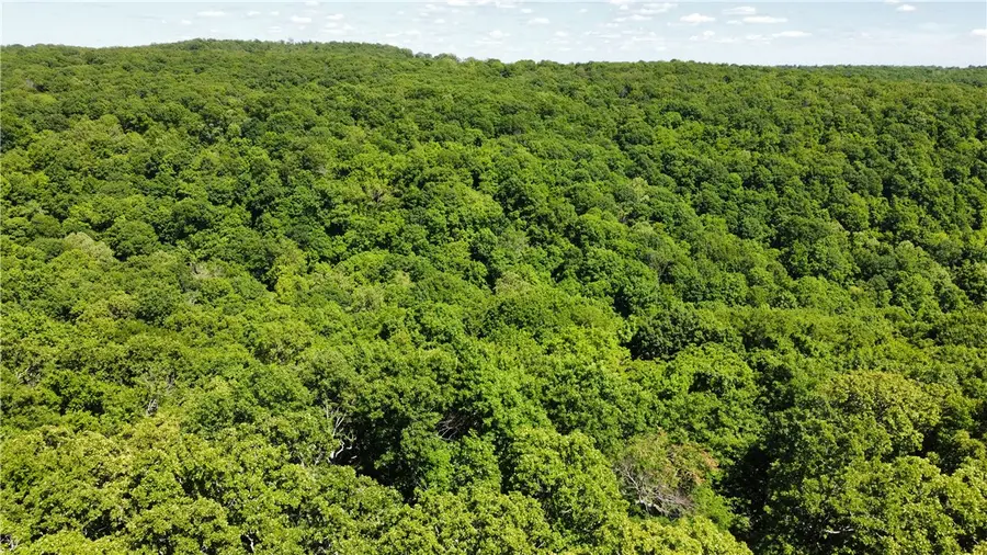 17659 S Skylight Mountain Road, Canehill, AR 72717 - #3
