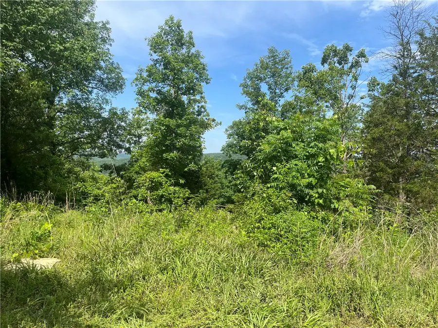107 Jones Drive, Dover, AR 72837 - #2