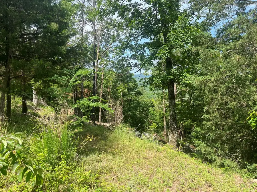 107 Jones Drive, Dover, AR 72837 - #3