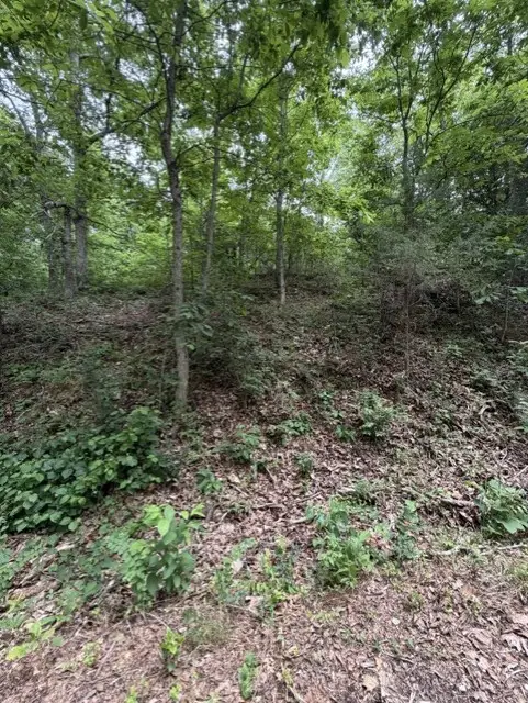 TBD Islay Drive, Bella Vista, AR 72715 - #1