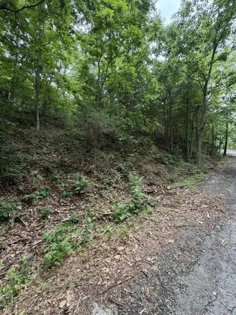 TBD Islay Drive, Bella Vista, AR 72715 - #2