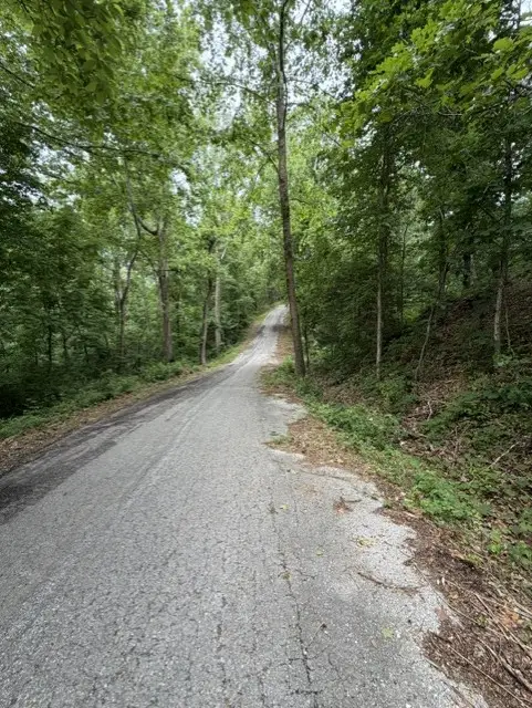 TBD Islay Drive, Bella Vista, AR 72715 - #3