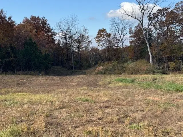 26511 Farm Road 1255, Golden, MO 65658 - #3