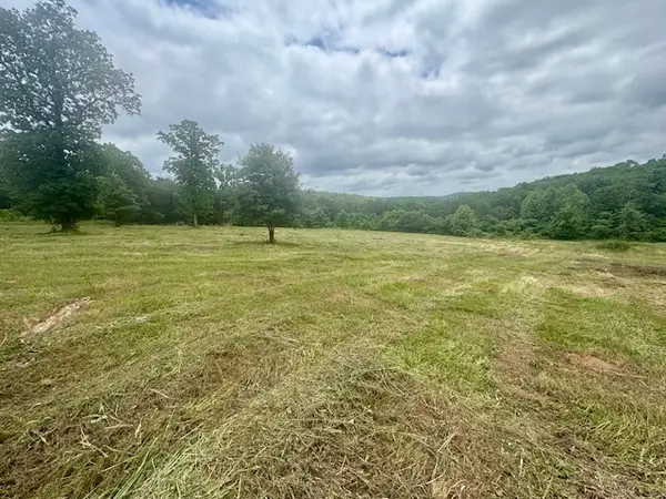 TBD Peaceful Home Lane, Natural Dam, AR 72948