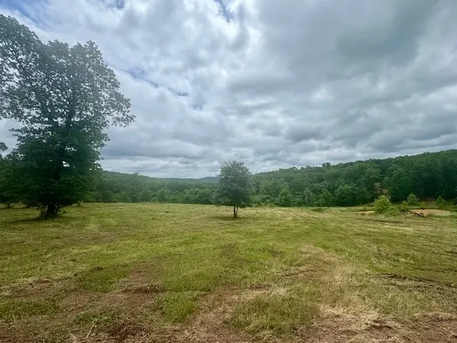 TBD Peaceful Home Lane, Natural Dam, AR 72948 - #2