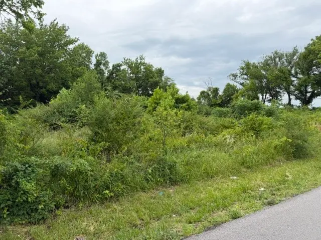 N Britt Street, Siloam Springs, AR 72761 - #2
