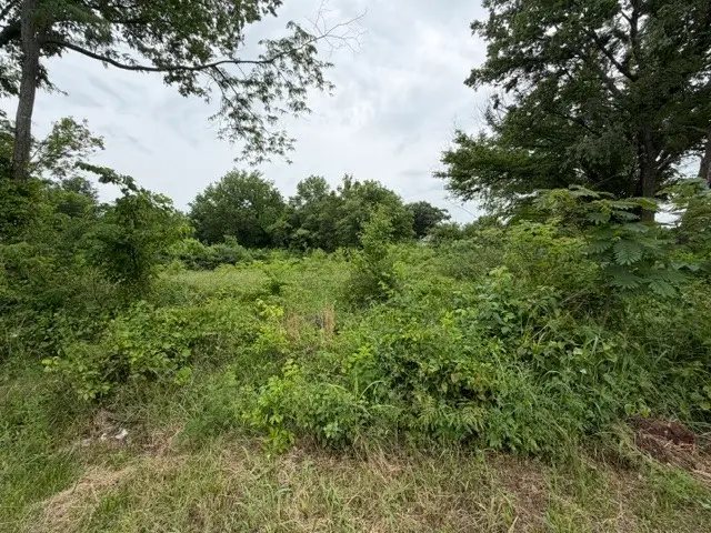 N Britt Street, Siloam Springs, AR 72761 - #3